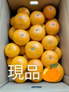 美味しいせとか　２級品限定のサムネイル