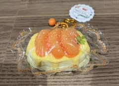 スクイーズフルーツケーキのサムネイル