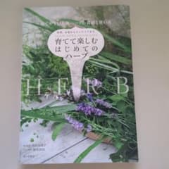 育てて楽しむはじめてのハーブのサムネイル