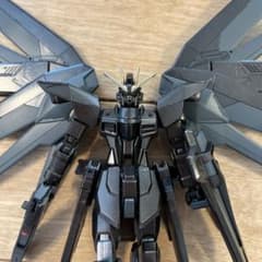 모든 도장 HG 프리덤 건담