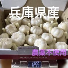 農薬不使用 兵庫県産 生にんにく 1.2kg - メルカリ