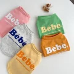 ペット服 犬服 ロゴTシャツ bebeのサムネイル