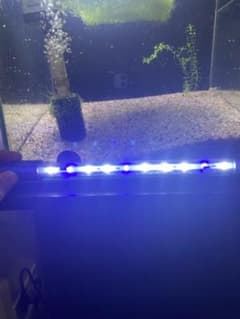 【バルセロス様専用】テトラ LED水中ライト SL30 淡水・海水両用のサムネイル