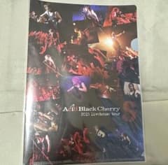 非売品】Acid Black Cherry S クリアファイル A5サイズ - メルカリ