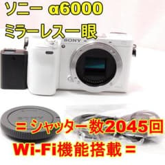 〓シャッター数2045回〓SONY ソニー α6000 ミラーレス一眼 - メルカリ
