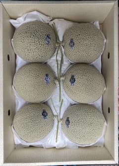 静岡産アールスメロン白印8. 1kg6玉入り１箱 マスクメロン網目形状が良好白印 静岡産アールスメロン白印8. 1kg6玉入り1箱 マスクメロン網目形状が
