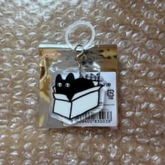 ALD1 めじるしチャーム サンヒョンのサムネイル