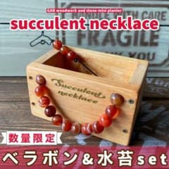 ★succulent necklace★ミニプランター天然石使用おまけ付きsetのサムネイル