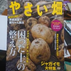 やさい畑 2025年2月号のサムネイル