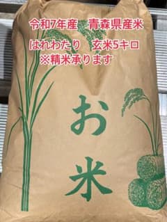 令和7年産 青森県産 はれわたり 玄米 5キロ - メルカリ