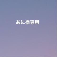 専用です。のサムネイル
