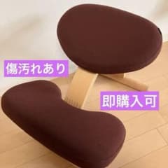 バランスチェアイージーのサムネイル