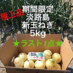 ★ラスト1点★ 限定出荷　極上品　淡路島産　新玉ねぎ　5kg 淡路島　タマネギのサムネイル