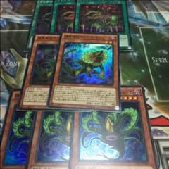 捕食植物 セットのサムネイル