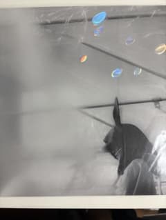 新品未開封 日比谷野音 小沢健二 オフィシャル海賊盤 (アナログレコード)のサムネイル