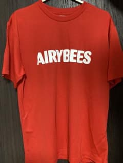 ヒコーキ雲様専用★エアリービーズ Tシャツのサムネイル