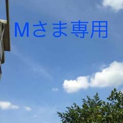 Mさま専用のサムネイル