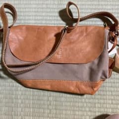 ｆｅｓのショルダーバックですのサムネイル