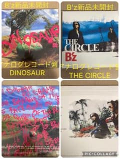 ②B'z新品未開封アナログレコード盤THE CIRCLE DINOSAUR - メルカリ