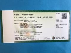 海遊館入館券 2枚組【10月13日まで！】のサムネイル