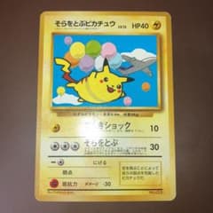 SORA.inc様専用　そらとぶピカチュウ　カイリューのサムネイル