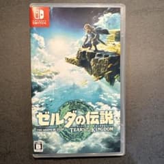 젤다의 전설 티어즈 오브 더 킹덤 Switch