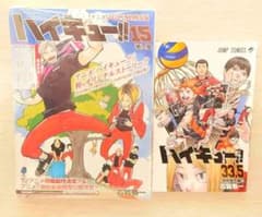 하이큐!! 15권 한정판 DVD 미개봉 극장판 쓰레기 버림장의 결전 33.5권