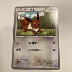 이브이 배틀 강화 덱 60 레시람 EX BKR 010/018