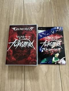 GALNERYUS/FALLING INTO THE FLAMES OF PU…のサムネイル