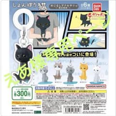 えあ様専用ページのサムネイル