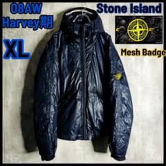 08AW・ハーヴェイ☆ストーンアイランド メッシュバッジ グースダウン