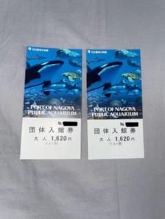 名古屋港水族館 入館券 大人2名のサムネイル