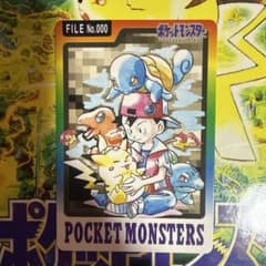 ポケモン カードダス FILE No.000のサムネイル