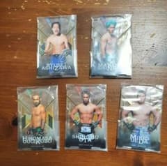 RIZIN 格闘家 アクリルスタンド 5種セット - メルカリ