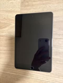 iPad mini 第5世代256GB Wi-Fi MUU32J/A 動作確認済 - メルカリ