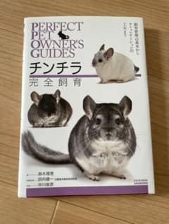チンチラ完全飼育 飼育管理の基本からコミュニケーションの工夫までのサムネイル