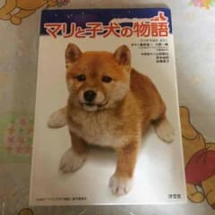 マリと子犬の物語のサムネイル