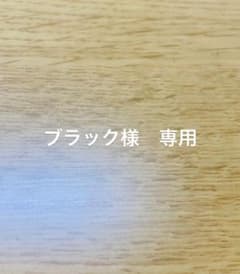 ブラック様専用　ポケットモンスター ウルトラムーン　伝説複数体！！のサムネイル