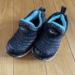ダイナモフリー　18cmのサムネイル
