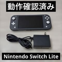 Nintendo SwitchLite グレー 充電器付 動作確認済 - メルカリ