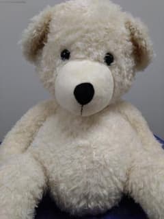 Steiff シュタイフ テディベア　ロッテ　白　80cm Steiff シュタイフ テディベア ロッテ 白 80cm - メルカリ