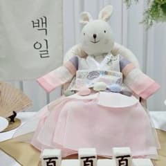 チマチョゴリ 100日用韓服 女の子 フルセット 韓国伝統衣装 ピンクお 