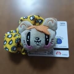 ジェ猫　GENERATIONS　 シュシュ　片寄涼太