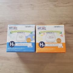 글라스 컬렉션 이브이 & 포차마