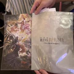 w*n様 まどマギ　HYAKUEMU 映画特典　クリアファイル 2枚ずつセットのサムネイル