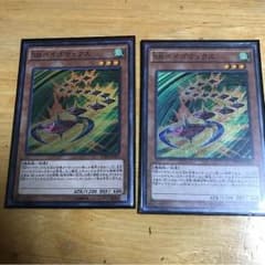 SR-ベイゴマックス 2枚のサムネイル