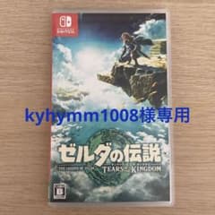 kyhymm1008様専用　ゼルダの伝説 ティアーズ オブ ザ キングダムのサムネイル