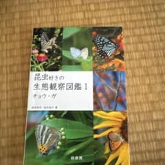 昆虫好きの生態観察図鑑 Ⅰ チョウ・ガのサムネイル