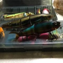 専門のサムネイル