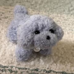 トイプードル モールドール お座り パールの首飾り付き 淡いブルーのサムネイル